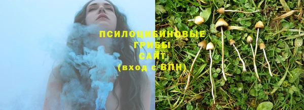 прущие крисы Белокуриха