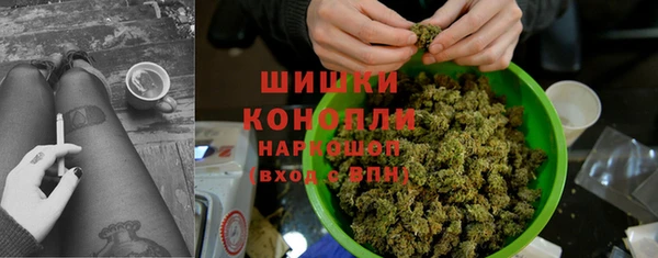 прущие крисы Белокуриха